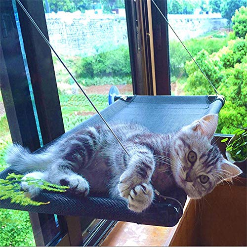 SABAN Ventana para gatos | Hamaca para gatos | Hamaca para gatos de hasta 31 kg | Tumbona para gatos | Ventana Lounger gatos con 4 grandes ventosas con un peso