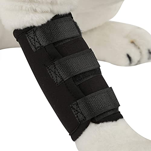 SALUTUYA 1 par de Abrazaderas para Patas Delanteras para Perros, Abrazadera para Perros ACL para prevenir Lesiones y esguinces en Las piernas(Black, M Code)