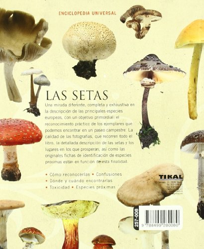 Setas (Enciclopedia Universal)