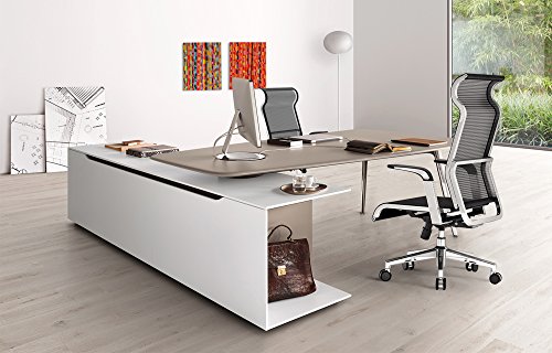 SIHOO Silla de Oficina ergonómica, Silla de Escritorio para Ordenador, reposacabezas Grande, Respaldo Alto, Estructura metálica, Silla de Trabajo giratoria Ajustable (Negro)