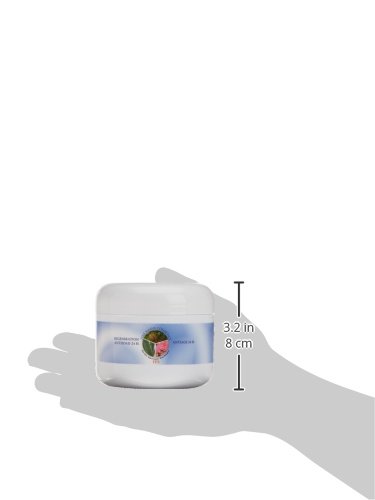 Simbiosis 150010 - Crema antiedad 24 horas con aloe, baba de caracol y rosa mosqueta