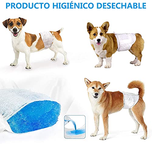 SMELL & SMILE Pañales Desechables para Perro Pañales para Perros Macho Pañal Sanitarios para Perro Mascotas Bragas Higiénicas Suaves absorbentes (S-20.5 * 50 CM)