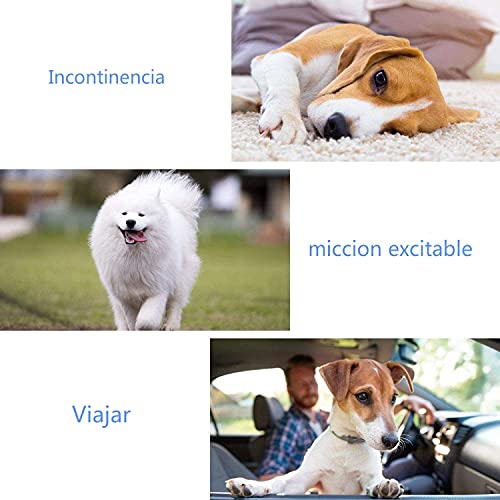 SMELL & SMILE Pañales Desechables para Perro Pañales para Perros Macho Pañal Sanitarios para Perro Mascotas Bragas Higiénicas Suaves absorbentes (S-20.5 * 50 CM)