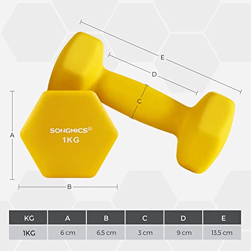 SONGMICS Juego de 2 Mancuernas para Gimnasio y Entrenamiento 2 x 1 kg SYL62YL