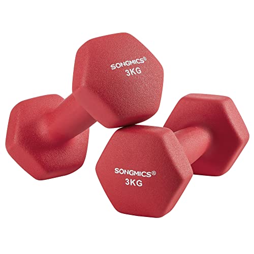 SONGMICS Juego de 2 Mancuernas para Gimnasio y Entrenamiento 2 x 3 kg SYL66RD