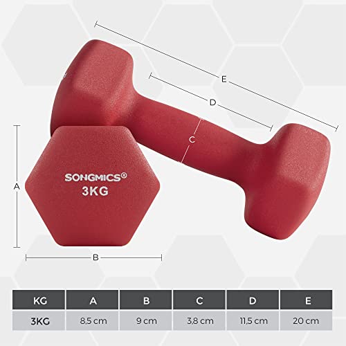 SONGMICS Juego de 2 Mancuernas para Gimnasio y Entrenamiento 2 x 3 kg SYL66RD