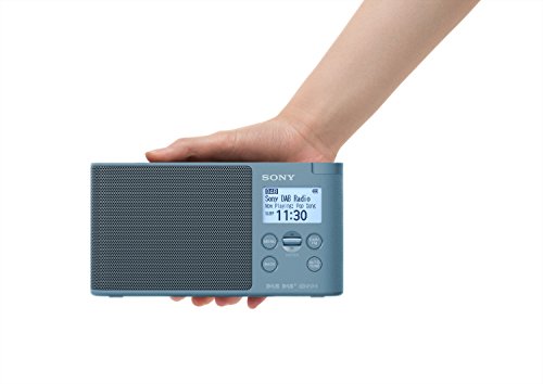 Sony XDRS41DL.EU8 - Radio portátil Digital (Dab/Dab+/FM, Altavoz, 5 presintonías Digitales y 5 analógicas, Pantalla LCD, Temporizador, Adaptador CA) Azul