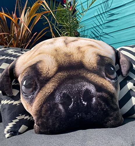 Splat Planet 3D Plush Pug Pillow Cojín Gigante Realista Juguete de peluche grande para niños Cojín de suelo único decorativo Cojín con temática animal Cojines de asiento para sillas de habitación