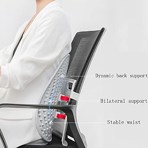 SXYB Cojín de Soporte Trasero, Respaldo ergonómico de Altura Ajustable, Almohada cómoda de Soporte Lumbar, para Silla y Asiento de Coche Respaldo Lumbar (Blanco)