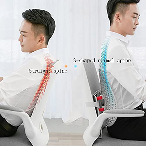 SXYB Cojín de Soporte Trasero, Respaldo ergonómico de Altura Ajustable, Almohada cómoda de Soporte Lumbar, para Silla y Asiento de Coche Respaldo Lumbar (Blanco)