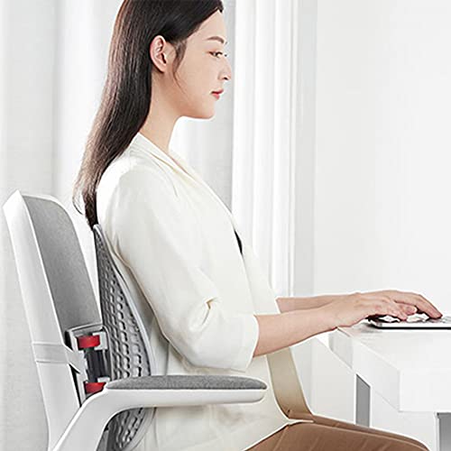 SXYB Cojín de Soporte Trasero, Respaldo ergonómico de Altura Ajustable, Almohada cómoda de Soporte Lumbar, para Silla y Asiento de Coche Respaldo Lumbar (Blanco)