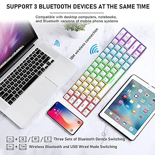 Teclado para Juegos RGB con Cable, Teclado Recargable con Cable Tipo C, Teclado mecánico de 61 Teclas programable con retroiluminación arcoíris, Bluetooth inalámbrico 5.0 (Interruptor Blanco/Rojo)