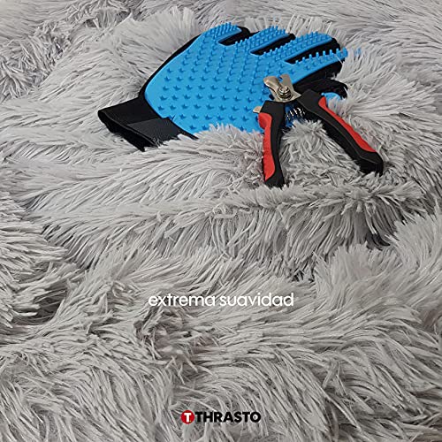 Thrasto Cama para Perros pequeños y Gatos (60cm), Cama antiestres y Lavable. con Guante quitapelos masajeador y cortauñas para Mascotas