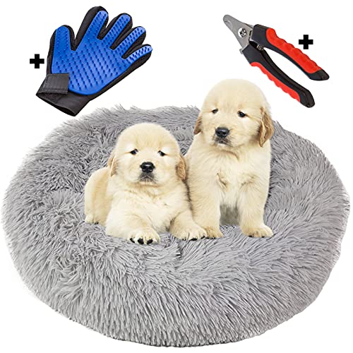 Thrasto Cama para Perros pequeños y Gatos (60cm), Cama antiestres y Lavable. con Guante quitapelos masajeador y cortauñas para Mascotas