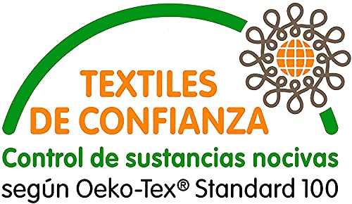 TIENDA EURASIA® Pack 2 Cojines para Sillas - Cojin Silla Acolchado Relleno de Fibra - Diseño Moderno Bicolor - 100% Algodon - 40 x 40 x 6 cm (1490921 - Liso)