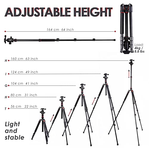 Trípode de Cámara de Aluminio con Cabeza de Metal, Bolsa de Transporte para cámara DSLR, DV Video Videocámara, Carga hasta 8kg, Trípode de Viaje/Video/Teléfono 160CM