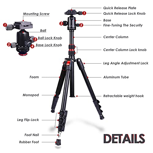 Trípode de Cámara de Aluminio con Cabeza de Metal, Bolsa de Transporte para cámara DSLR, DV Video Videocámara, Carga hasta 8kg, Trípode de Viaje/Video/Teléfono 160CM