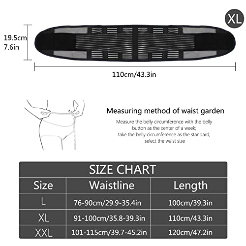 TSLBW Cinturón de Soporte para la Espalda Baja de Doble Tracción Ajustable Soporte Lumbar de Malla Transpirable para Hernia de Disco Escoliosis Alivio del Dolor de Espalda y Prevención de Lesiones XL