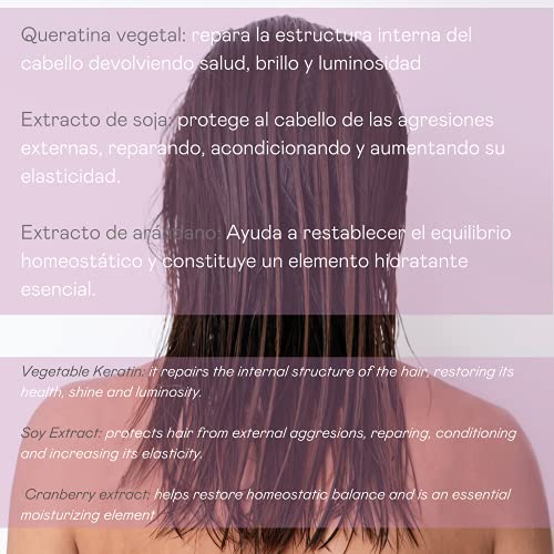 Válquer Premium Ice Hair Mask Mascarilla Capilar Efecto Hielo Ultrahidratante, Sin Siliconas, Sin Sal, Sin Parabenos, Sin Sulfatos, Cabellos Secos, Hidratación Capilar, Único, Fresco, 300 Mililitros