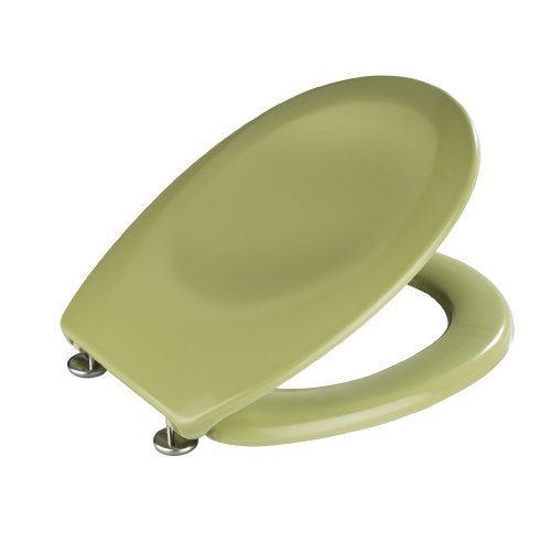 WENKO Tapa de WC Bergamo musgo verde - antibacteriano, sujeción de acero inox, Duroplast, 35 x 44.4 cm, Verde musgo