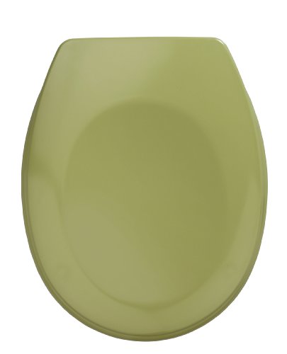 WENKO Tapa de WC Bergamo musgo verde - antibacteriano, sujeción de acero inox, Duroplast, 35 x 44.4 cm, Verde musgo