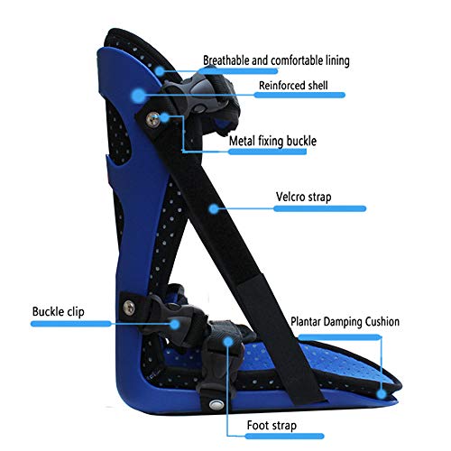 WY- SPLINTS Bota ortopedica Fractura - Férula de Noche para Fascitis Plantar : para espolón calcáneo (Fascitis Plantar), para el Tratamiento Nocturno de la Fascitis Plantar o tendinitis de Aquiles,M