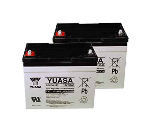 Yuasa - Batería de 12V 36Ah YUASA REC36-12í - REC36-12I