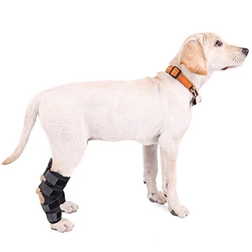 Zunea Perros caninos de pierna trasera Hock Joint Brace 2Pack Protector de pierna y soporte adicional, manga de compresión para lesiones de heridas y esguinces para curación de artritis - (negro, S)