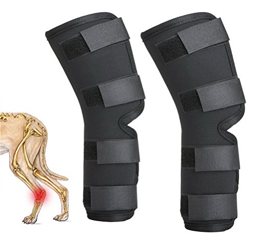 Zunea Perros caninos de pierna trasera Hock Joint Brace 2Pack Protector de pierna y soporte adicional, manga de compresión para lesiones de heridas y esguinces para curación de artritis - (negro, S)