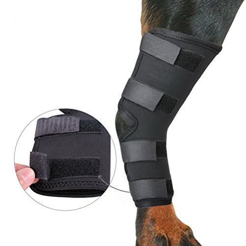 Zunea Perros caninos de pierna trasera Hock Joint Brace 2Pack Protector de pierna y soporte adicional, manga de compresión para lesiones de heridas y esguinces para curación de artritis - (negro, S)