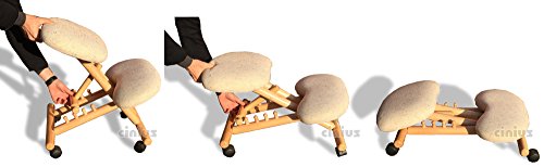 cinius Ergo - Silla ergonómica (Natural/Natural), Talla única