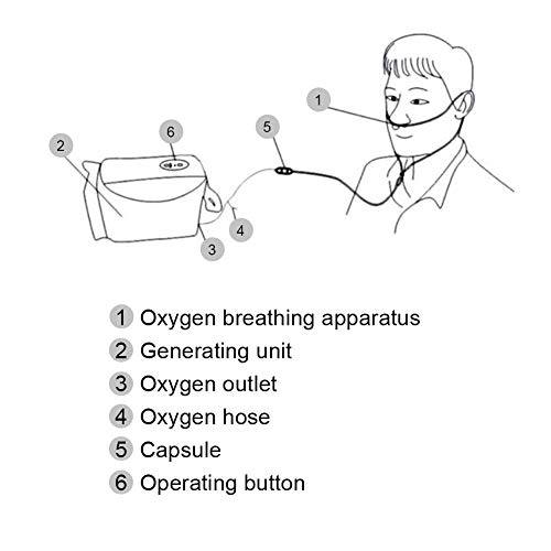 Concentrador de Oxígeno Pequeño, Purificador de Aire Doméstico de Máquina de Oxígeno, Generador de Oxígeno O2 de Pureza Portátil para Uso en El Hogar y en Viajes Automóvil de Viaje (EU)