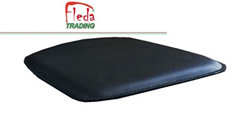 Fleda TRADING Sillas de Metal de Estilo Industrial Paquete DE 2 Piezas con cojín Tolix Design Rosa