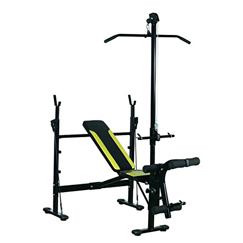 HOMCOM Banco de Pesas Reclinable Multifunción para Entrenamiento y Musculación 175x110x202 cm Negro