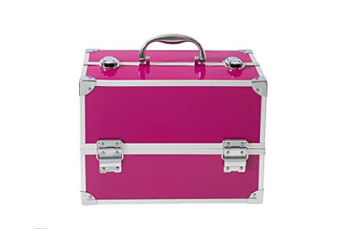 Maletín de Maquillaje Professional Color Pink Train Case - The Color Workshop - Un Kit de Maquillaje Profesional Completo en un Gran Maletín Plateado y Elegante para Llevar Siempre Contigo