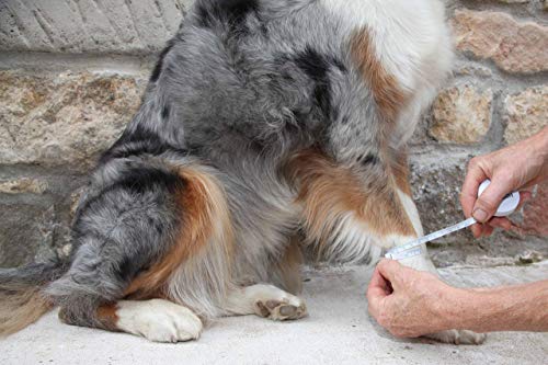 NATURE PET - Vendaje de la articulación carpometacarpiana de Perro para Deporte/Vendaje de Soporte para Perros CarpoLock Sport - Negro - M