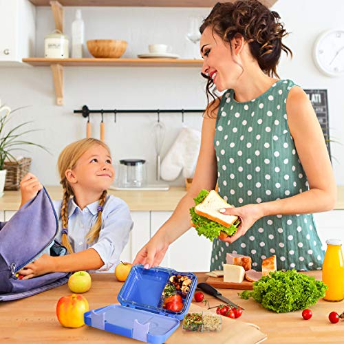 Navaris Fiambrera hermética para Comida - Lunch Box sin BPA con divisores - Bento Box para merienda Almuerzo Desayuno Cena de niños y Adultos - Azul