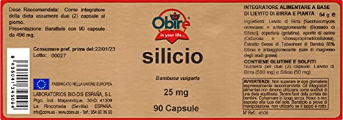 Obire - Silicio 25mg , 90 Cápsulas ( 1 unid. )