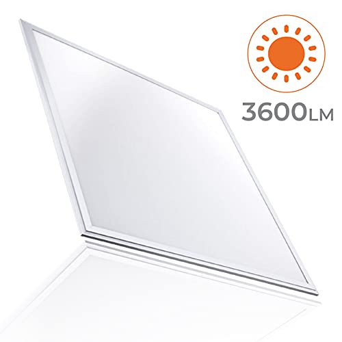 Pack 2x Luminaria Panel LED 60x60 cm, 40W Ultrafino. Color Blanco Frio (6500K). Idoneo Techo Modular. 3600 Lumenes.