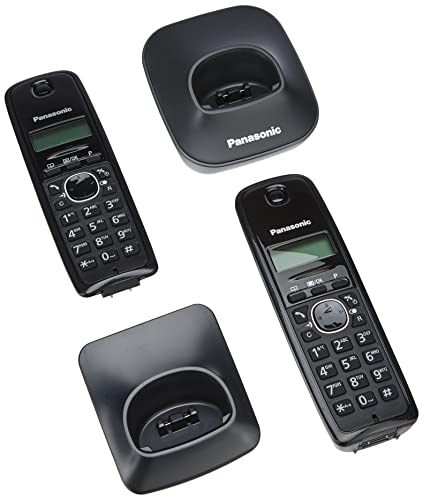 Panasonic KX-TG1612 - Teléfono Fijo inalámbrico Dúo (LCD, identificador de Llamadas, Intercomunicación, tecla de navegación, Alarma, Reloj), Color Negro y Blanco