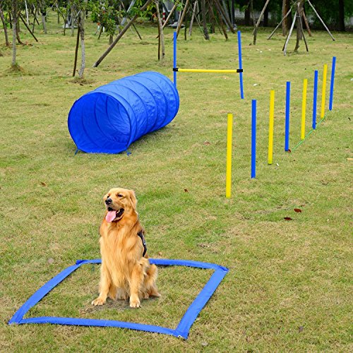 PawHut Set Entrenamiento Agility Agilidad Perros Salto Tunel y Slalom Azul Amarillo NUE