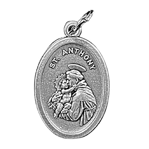 Religious Gifts St Francis Dog Tag - Saint Francis of Assisi Silver Tone Pet Medal, 1 Inch