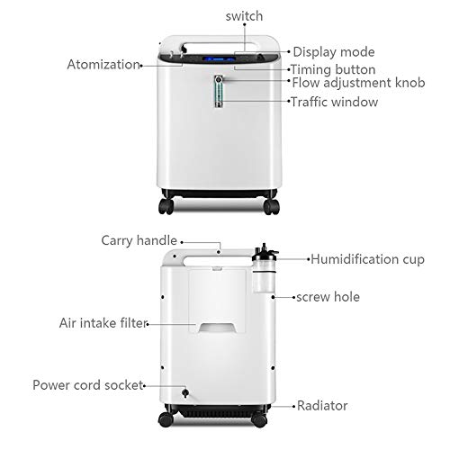 RKY Concentrador de oxigeno Concentrador de oxígeno, generador portátil 3L oxígeno domiciliario Doble Unidad de atomización de oxígeno /-/ (Color : Oxygen)