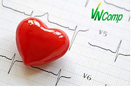 VN Comp | CLA | 1000mg | Termogénico | Ácido Linoleico Conjugado | Destruye las Células Grasas y Favorece el Crecimiento Muscular | Controla los Niveles de Colesterol y Triglicéridos | 100 Cápsulas