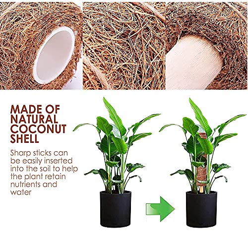 2 Piezas Varillas de Planta,Tutores para Plantas Trepadoras , Palo de Musgo de Coco ,30cm,Tótem de Coco para Extensión de Plantas Trepadoras y Soporte de Planta en el Jardín de Su Casa