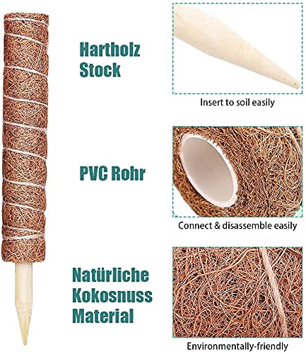 2 Piezas Varillas de Planta,Tutores para Plantas Trepadoras , Palo de Musgo de Coco ,30cm,Tótem de Coco para Extensión de Plantas Trepadoras y Soporte de Planta en el Jardín de Su Casa
