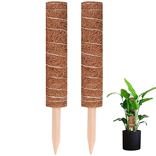 2 Piezas Varillas de Planta,Tutores para Plantas Trepadoras , Palo de Musgo de Coco ,30cm,Tótem de Coco para Extensión de Plantas Trepadoras y Soporte de Planta en el Jardín de Su Casa