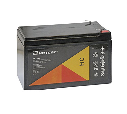 Batería plomo AGM estándar Heycar 12V-12Ah