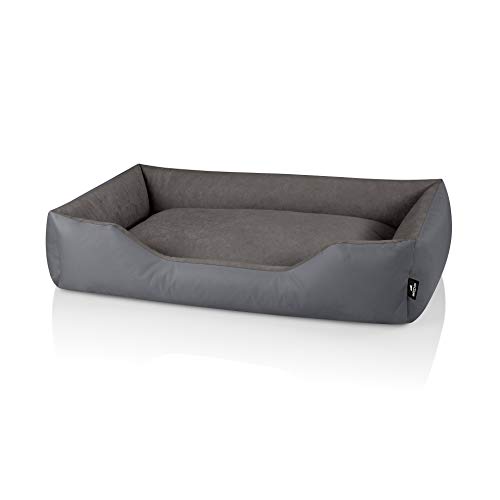 BedDog® Zara colchón para Perro S hasta XXXL, 10 Colores, Cama para Perro, sofá para Perro, Cesta para Perro, XXL, Steel-Grey (Gris)