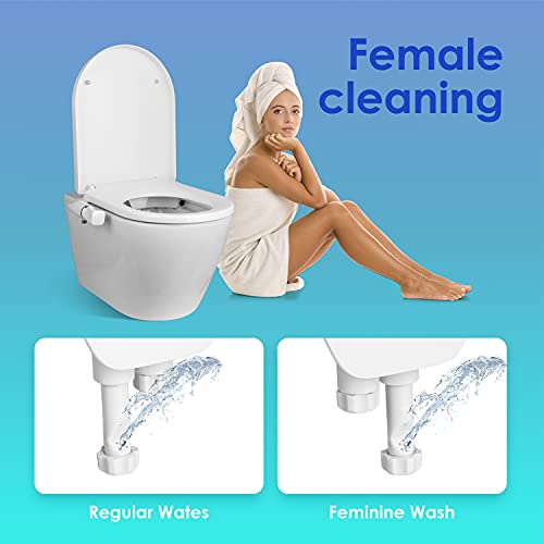 Bidets Bidés de baño con agua fría, Bidé de agua fría, bidé de autolimpieza, bidé no eléctrico/ blanco